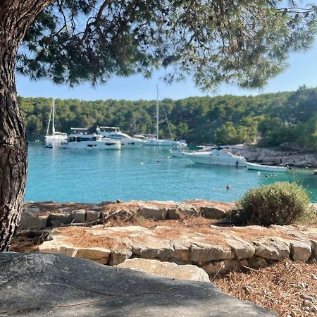 Luxury Villa Kate - In Lucice Bay With Turquoise Sea, Amazing Seaviews, And Heated Pool Milna  Esterno foto